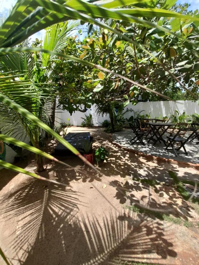 Casa Pipa Bg Hotel Barra Grande  Eksteriør billede