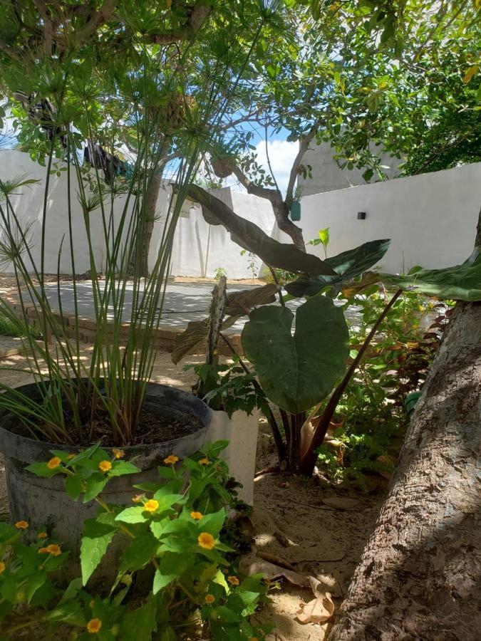 Casa Pipa Bg Hotel Barra Grande  Eksteriør billede